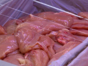 Pošiljka pilećeg mesa iz BiH vraćena s granice zbog salmonele