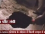 VIDEO: Lopovi prokopali podzemni tunel dug 40 metara i opelješili 77 sefova