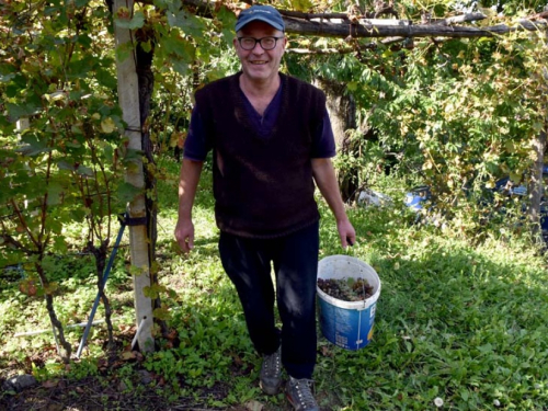 FOTO: Zora i Slavko Bošnjak iz Rame postali pravi vinogradari