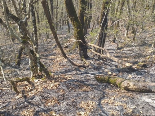 Požar u Donjoj Rami se širi, gase ga vatrogasci i mještani