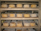 Livanjski sir uskoro bi mogao biti zaštićen?
