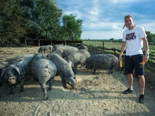Vida ima farmu crnih svinja, a u Rusiju je ''prošvercao'' kulen