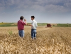 Dogovor je pao: Izvoz ukrajinskog žita neće stati