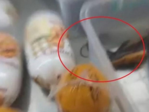 Video iz tržnoga centra u BiH: Miševi veselo trčkaraju po mesu
