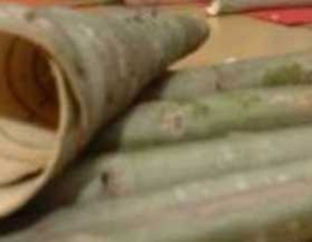 Ramski običaji: Jurjevo