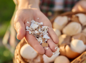 Ne bacajte ljuske od jaja, mogu biti vrlo korisne