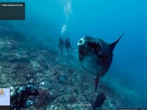 Istražite podvodni svijet oceana uz Google Street View