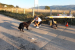 FOTO: Održan 6. Ramski polumaraton