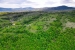 OGLAS: Prodaje se zemljište na Kozlu s pogledom na Ramsko jezero