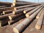BiH: U porastu izvoz drva i trupaca