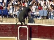 U Španjolskoj bikovi usmrtili četiri osobe