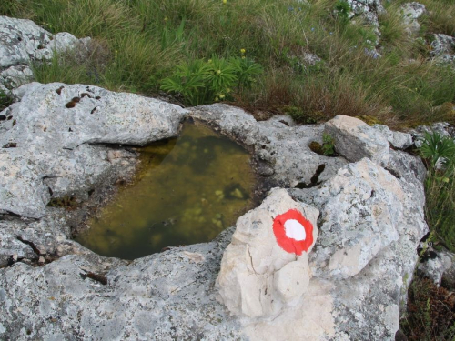 FOTO: Markiranje staze Dive Grabovčeve