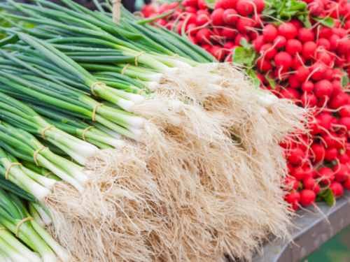 Kako sačuvati svježinu mladog luka nakon vađenja iz zemlje