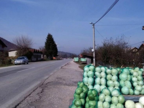 Proizvođači kupusa traže izgradnju tvornice