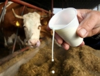 Netko se bogati: ''Otkupna cijena 1l mlijeka 0,70 KM, u trgovinama košta tri KM''