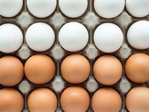 Ima li razlike između smeđih i bijelih jaja?