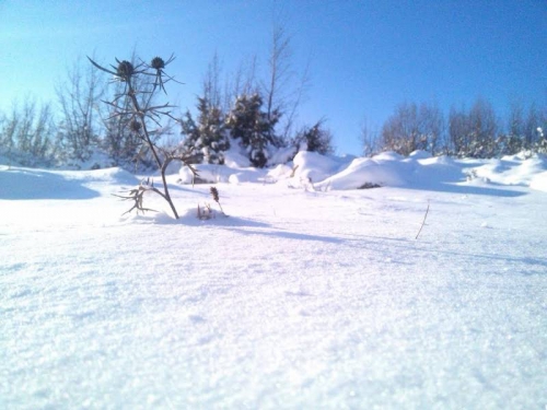 FOTO: Rama u snijegu kroz objektiv naših čitatelja
