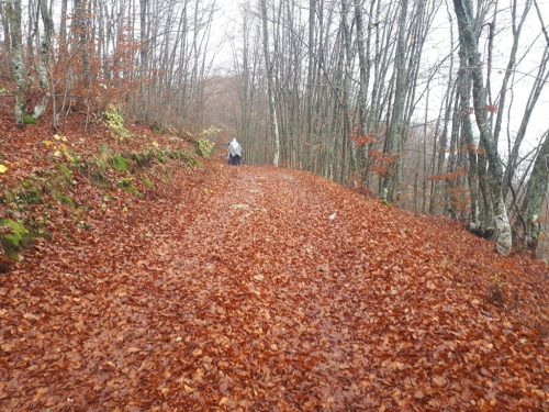 Novotravnički planinari u gostima kod HPD ''Rama''