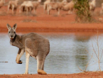 Imate atlas s Australijom? Slobodno ga bacite