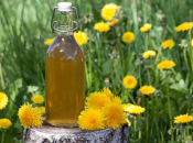 Čisti jetru i želudac, spušta kolesterol, pomaže dijabetičarima...