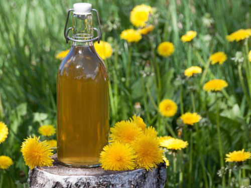 Čisti jetru i želudac, spušta kolesterol, pomaže dijabetičarima...