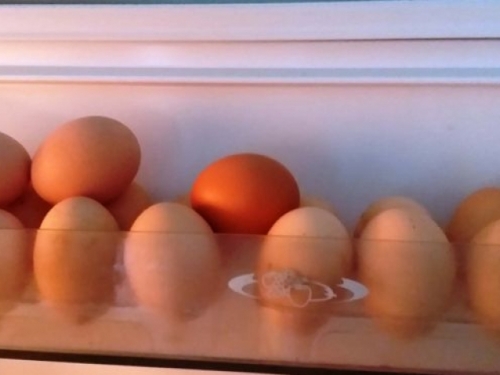 Koliko dugo jaja mogu biti u hladnjaku?