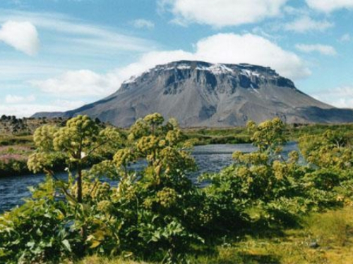 Počeo se buditi džinovski vulkan Katla na Islandu