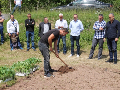 FOTO: Udruga ''Naša zemlja'' Jurići započela probnu poljoprivrednu proizvodnju