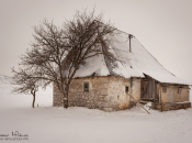 Vratit ću se jednog dana!