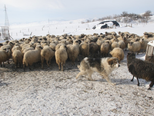 FOTO: Čuvari ''Ramskih vrata''