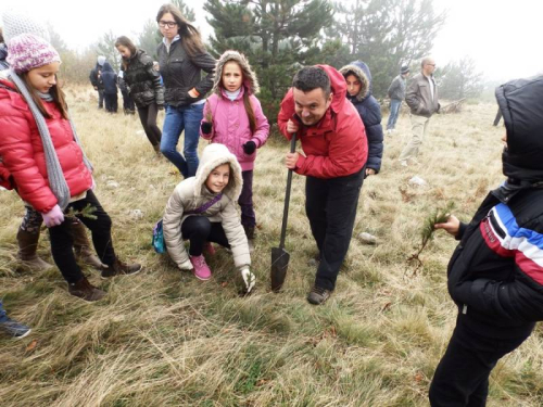 FOTO: Učenici u akciji pošumljavanja