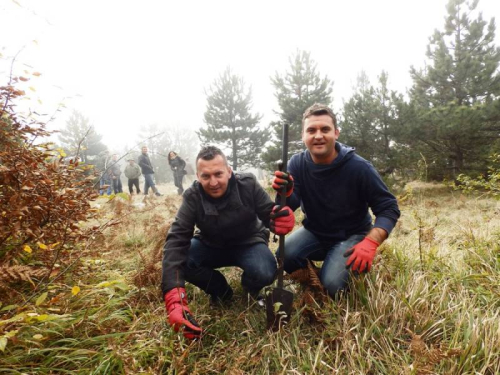 FOTO: Učenici u akciji pošumljavanja