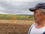 VIDEO: Duvanjski vinogradari