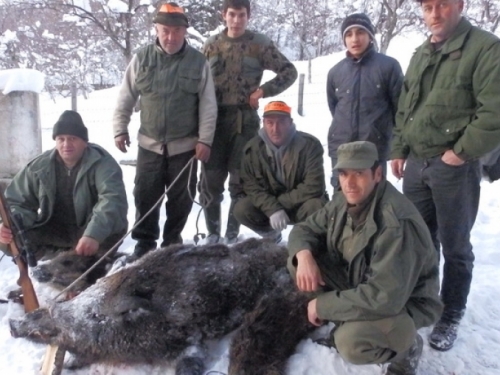 FOTO: Lovci LD "Vepar" ustrijelili šest divljih svinja