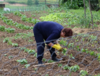 Ožujak u vrtu - Mudri potezi za proljetnu sezonu