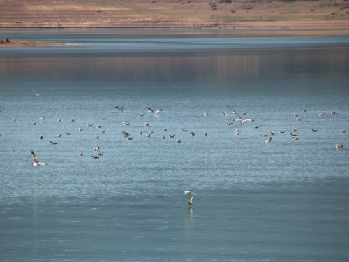 FOTO: Ramsko jezero - mjesto uživanja i rekreacije