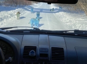 Vanzemaljski prizori: u Rusiji snimljeni nebesko plavi psi. Samo se nagađa koji je tome razlog
