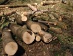 ''Palete drva od 250 KM se skladište kako bi se vani prodale za 250 eura''