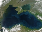 Crno more uništavaju izlov, onečišćene rijeke, invanzivne vrste i klimatske promjene