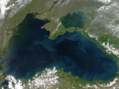 Crno more uništavaju izlov, onečišćene rijeke, invanzivne vrste i klimatske promjene