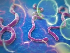 Eksperimentalni lijek izliječio Amerikanca od ebole