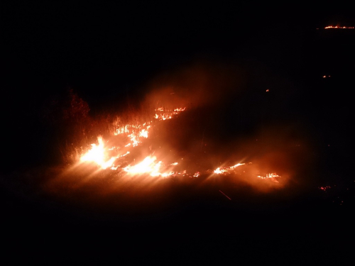 FOTO/VIDEO: Na Ometalama gorilo, intervenirali vatrogasci