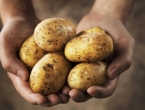 Bosni i Hercegovini do kraja godine prijeti nestašica krumpira