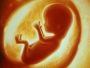 Zadivljujuća snimka razvoja fetusa od začeća do rođenja