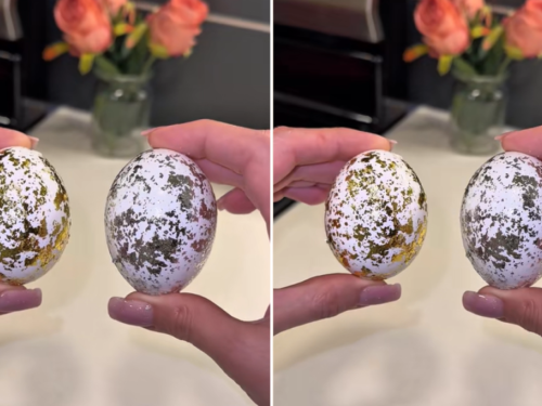 Jedan sastojak iz hladnjaka pretvara obična jaja u luksuzna remek-djela