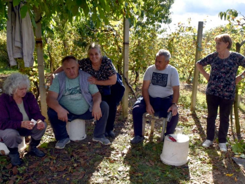 FOTO: Zora i Slavko Bošnjak iz Rame postali pravi vinogradari