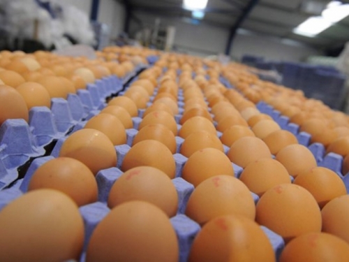 Zašto je dobro jajima dok se kuhaju dodati sodu bikarbonu