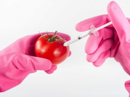 Gdje se u BiH krije GMO?