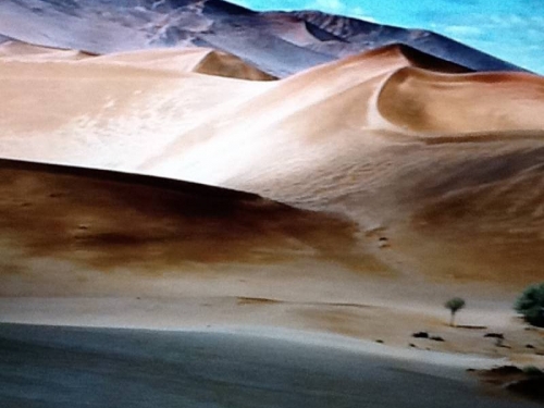 FOTO: Ramljak na krovu Južne Amerike i u najsušnijoj pustinji na svijetu