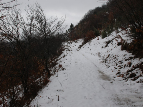 FOTO: Put križa - Prva korizmena nedjelja u župi Uzdol